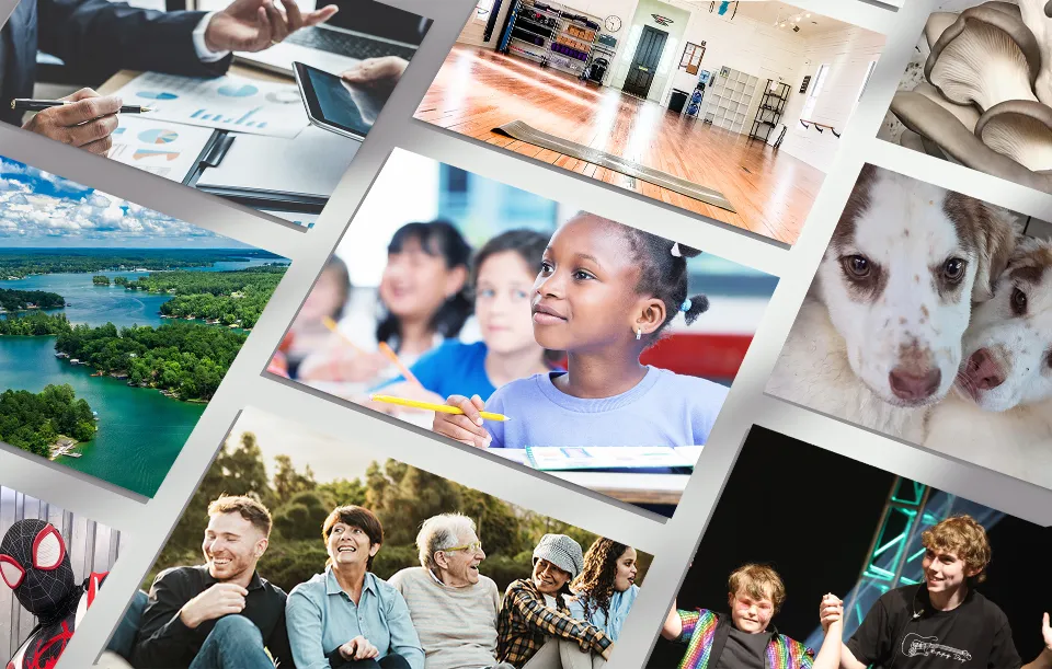 Collage of community moments: students in class, volunteers outdoors, rescue puppies, a dance studio and young performers on stage